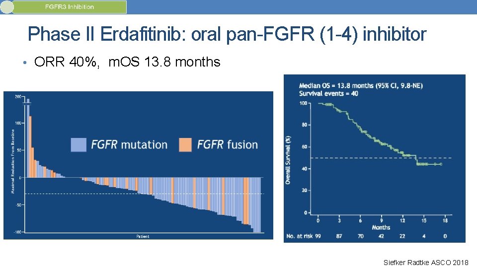 Phase II Erdafitinib: oral pan-FGFR (1 -4) inhibitor • ORR 40%, m. OS 13.