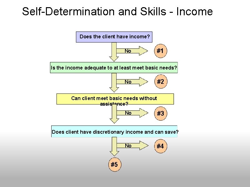 Self-Determination and Skills - Income Does the client have income? No #1 Is the