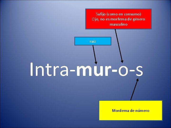 Sufijo (como en consumo) Ojo, no es morfema de género masculino raíz Intra-mur-o-s Mordema