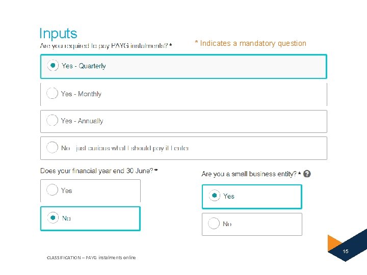 Inputs * Indicates a mandatory question 15 CLASSIFICATION – PAYG instalments online 