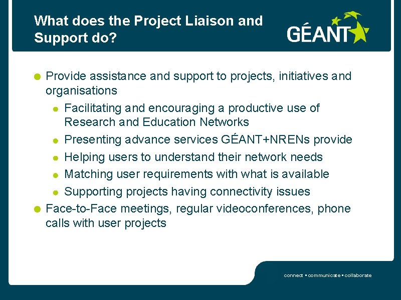 What does the Project Liaison and Support do? Provide assistance and support to projects,