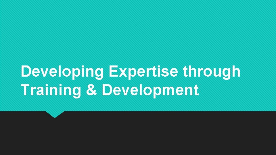 Developing Expertise through Training & Development 