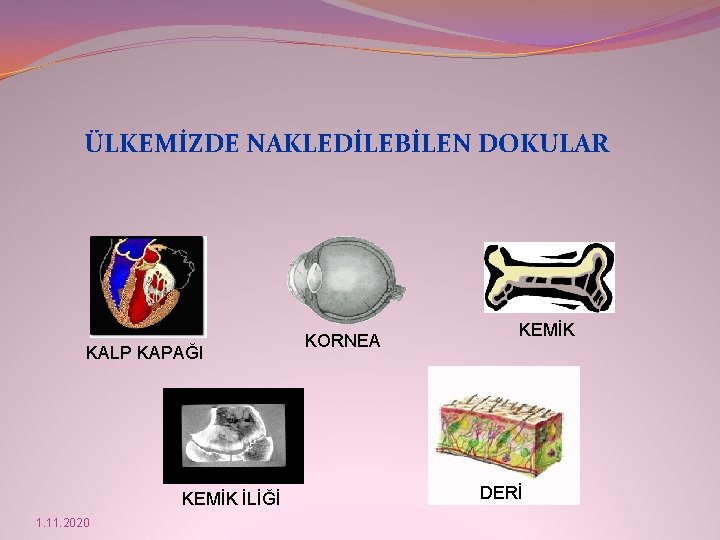 ÜLKEMİZDE NAKLEDİLEBİLEN DOKULAR KALP KAPAĞI KEMİK İLİĞİ 1. 11. 2020 KORNEA KEMİK DERİ 