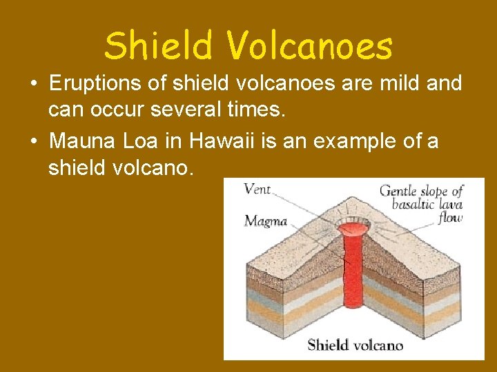 Shield Volcanoes • Eruptions of shield volcanoes are mild and can occur several times.
