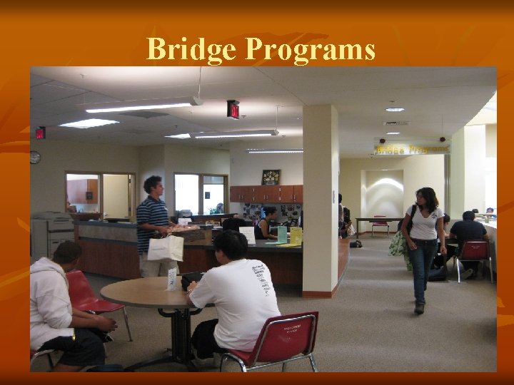 Bridge Programs 