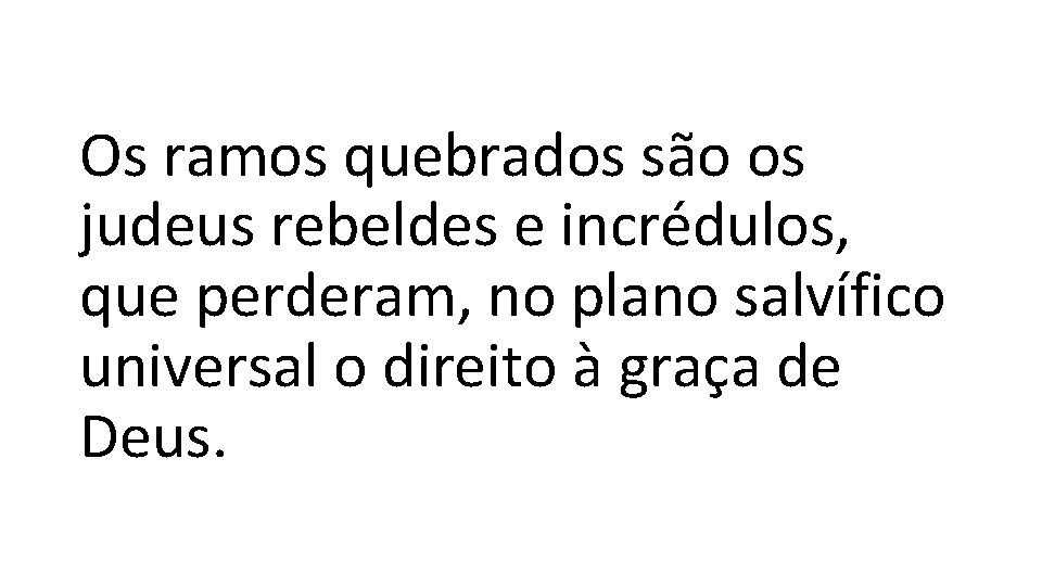 Os ramos quebrados são os judeus rebeldes e incrédulos, que perderam, no plano salvífico