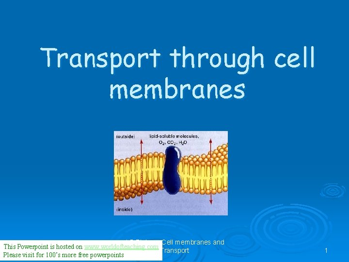 Transport through cell membranes AS Biology, Cell membranes and This Powerpoint is hosted on