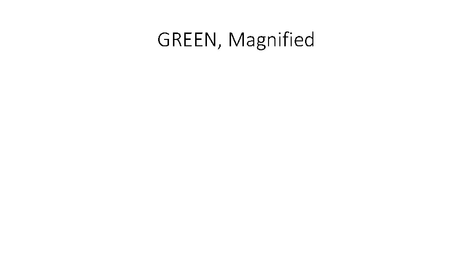 GREEN, Magnified 