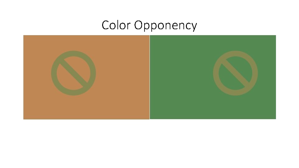 Color Opponency 