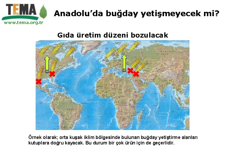 Anadolu’da buğday yetişmeyecek mi? www. tema. org. tr Gıda üretim düzeni bozulacak Örnek olarak;