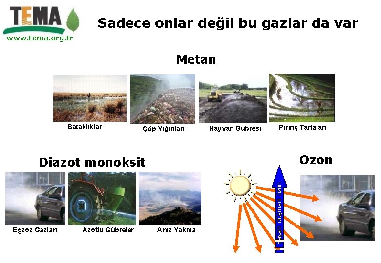 Sadece onlar değil bu gazlar da var www. tema. org. tr Metan Bataklıklar Çöp Sadece onlar değil bu gazlar da var www. tema. org. tr Metan Bataklıklar Çöp