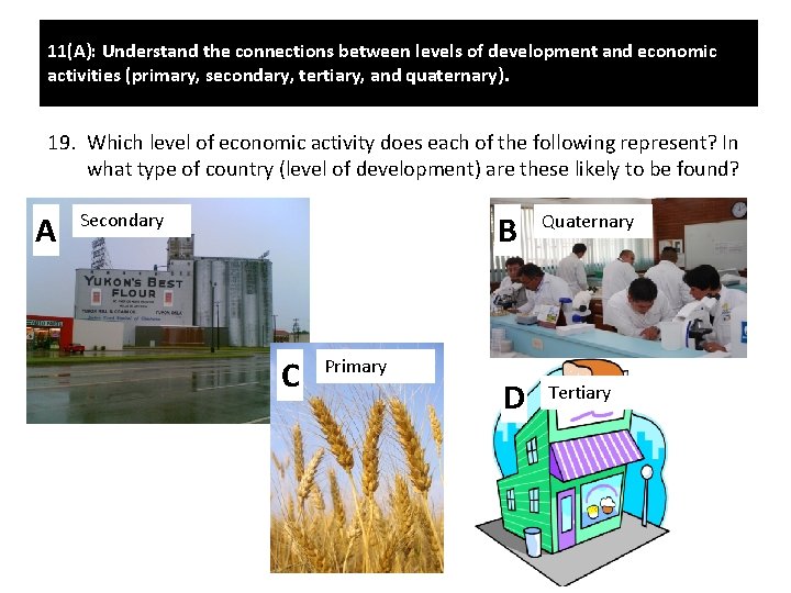 11(A): Understand the connections between levels of development and economic activities (primary, secondary, tertiary,