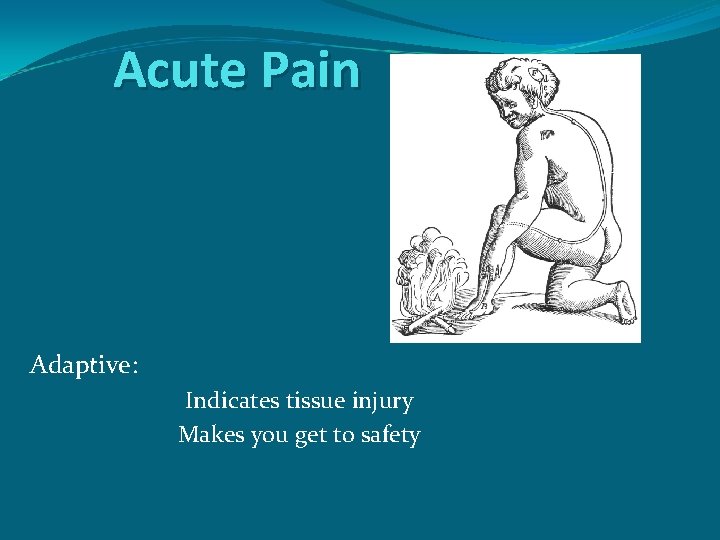 Acute Pain Adaptive: Indicates tissue injury Makes you get to safety 