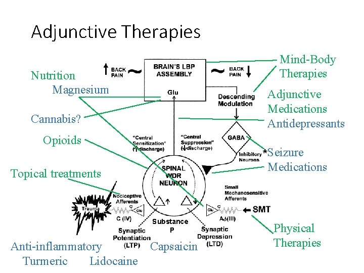 Adjunctive Therapies Mind-Body Therapies Nutrition Magnesium Adjunctive Medications Antidepressants Cannabis? Opioids Seizure Medications Topical