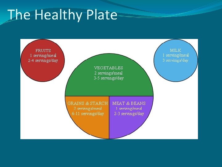 The Healthy Plate 