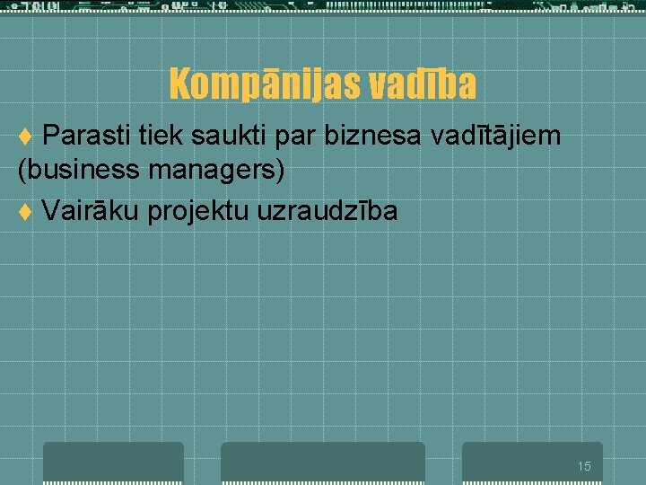 Kompānijas vadība Parasti tiek saukti par biznesa vadītājiem (business managers) t Vairāku projektu uzraudzība