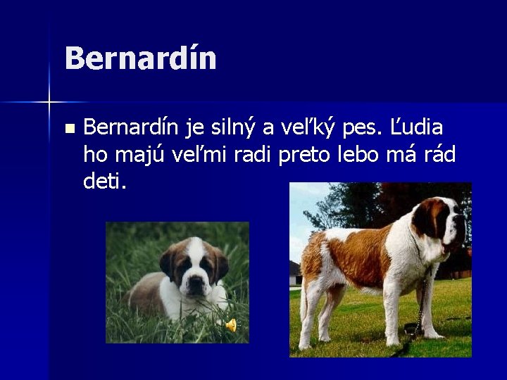 Bernardín n Bernardín je silný a veľký pes. Ľudia ho majú veľmi radi preto