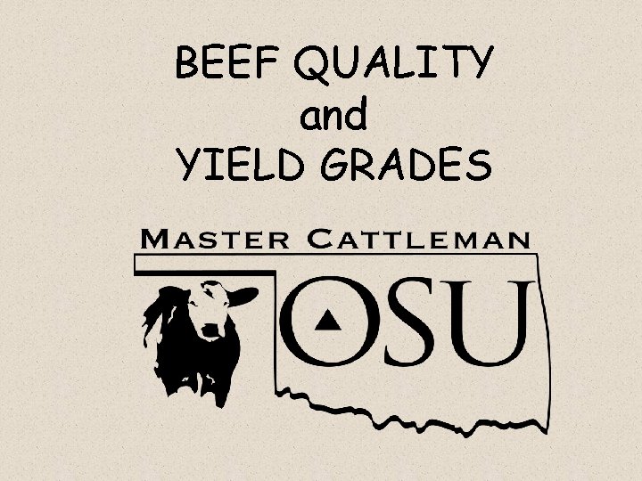 BEEF QUALITY and YIELD GRADES 