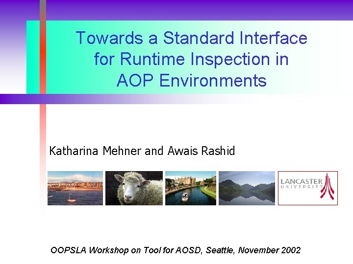 Towards a Standard Interface for Runtime Inspection in