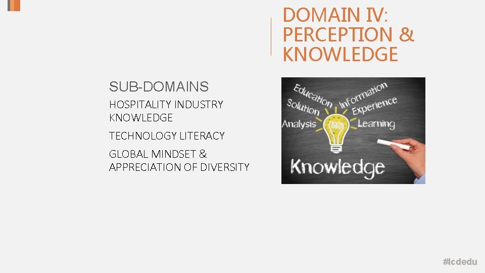 DOMAIN IV: PERCEPTION & KNOWLEDGE SUB-DOMAINS HOSPITALITY INDUSTRY KNOWLEDGE TECHNOLOGY LITERACY GLOBAL MINDSET & DOMAIN IV: PERCEPTION & KNOWLEDGE SUB-DOMAINS HOSPITALITY INDUSTRY KNOWLEDGE TECHNOLOGY LITERACY GLOBAL MINDSET &