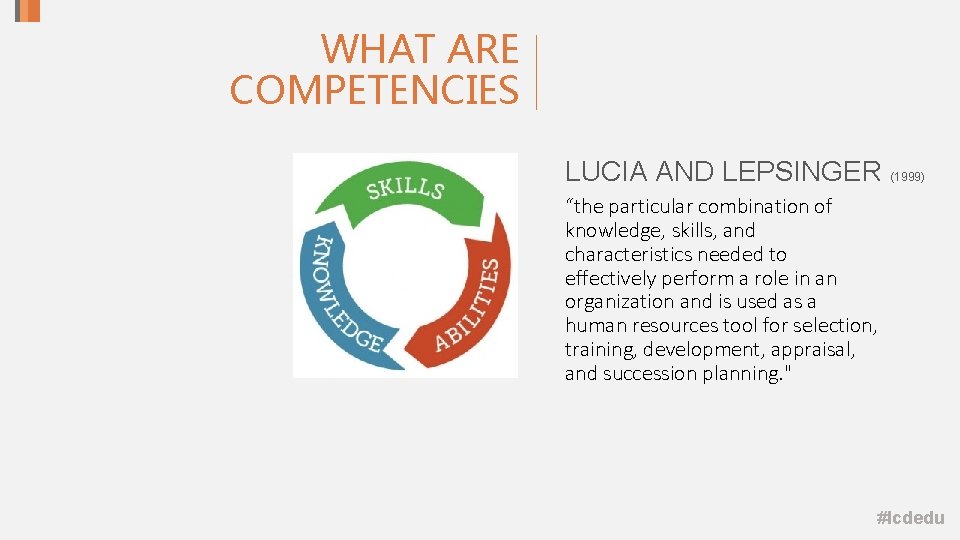 WHAT ARE COMPETENCIES LUCIA AND LEPSINGER (1999) “the particular combination of knowledge, skills, and WHAT ARE COMPETENCIES LUCIA AND LEPSINGER (1999) “the particular combination of knowledge, skills, and