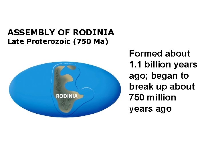 ASSEMBLY OF RODINIA Late Proterozoic (750 Ma) Formed about 1. 1 billion years ago;