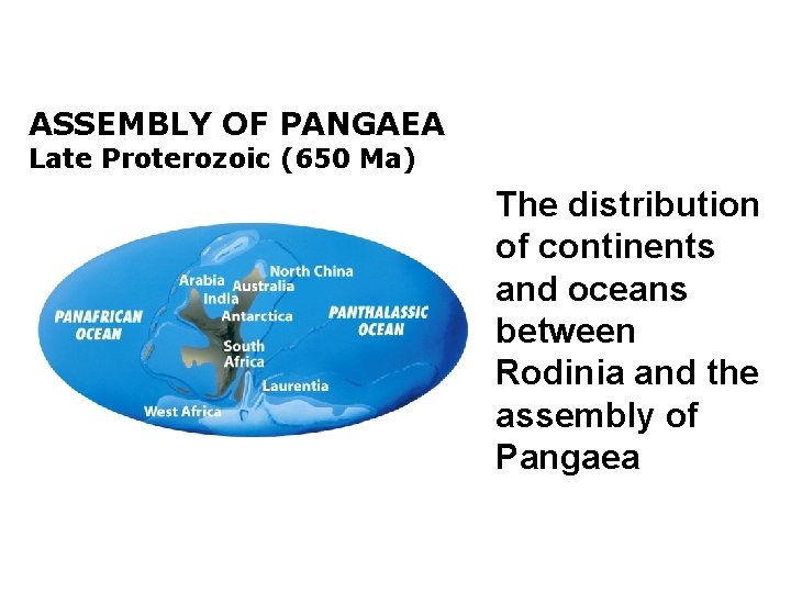 ASSEMBLY OF PANGAEA Late Proterozoic (650 Ma) The distribution of continents and oceans between