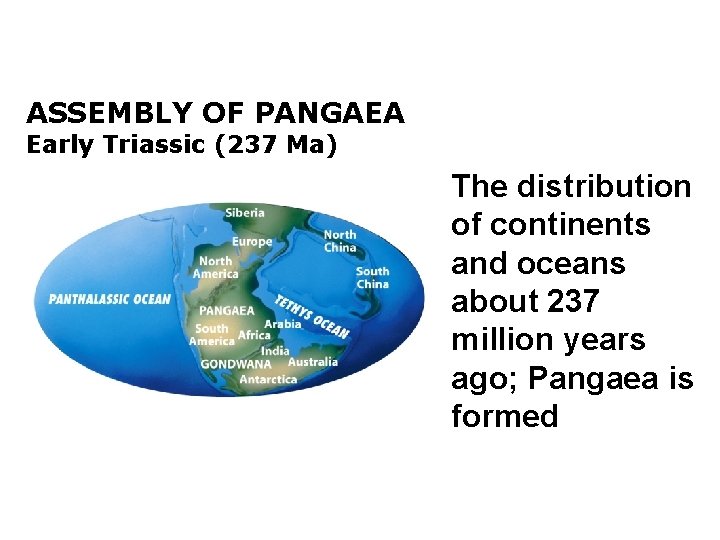 ASSEMBLY OF PANGAEA Early Triassic (237 Ma) The distribution of continents and oceans about