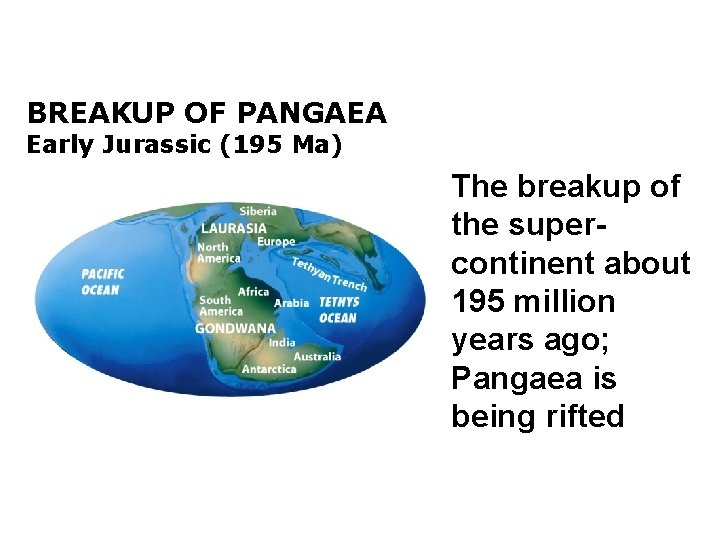 BREAKUP OF PANGAEA Early Jurassic (195 Ma) The breakup of the supercontinent about 195