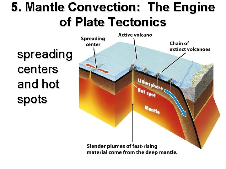 5. Mantle Convection: The Engine of Plate Tectonics spreading centers and hot spots 