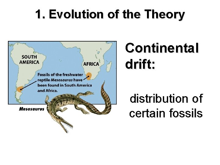 1. Evolution of the Theory Continental drift: distribution of certain fossils 
