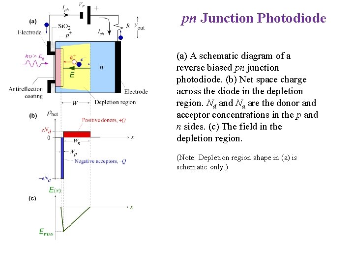 pn Junction Photodiode (a) A schematic diagram of a reverse biased pn junction photodiode.