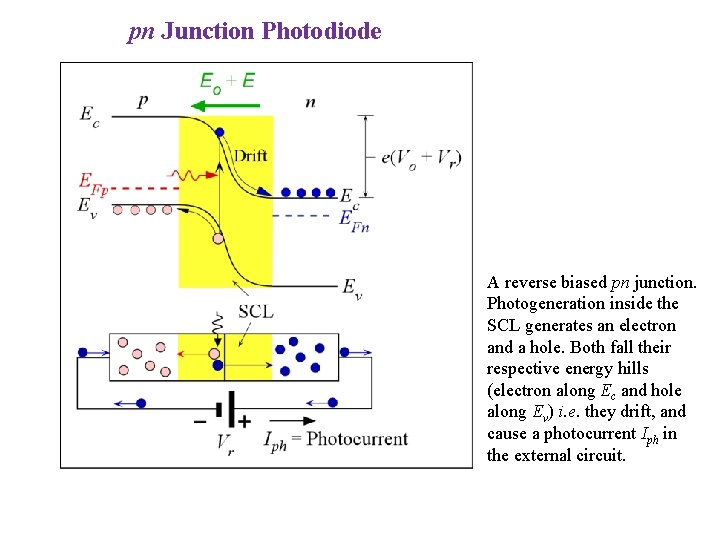 pn Junction Photodiode A reverse biased pn junction. Photogeneration inside the SCL generates an
