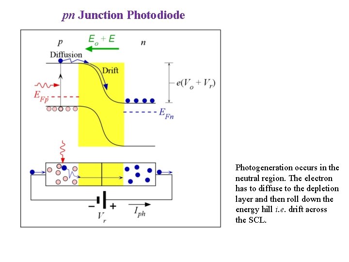 pn Junction Photodiode Photogeneration occurs in the neutral region. The electron has to diffuse