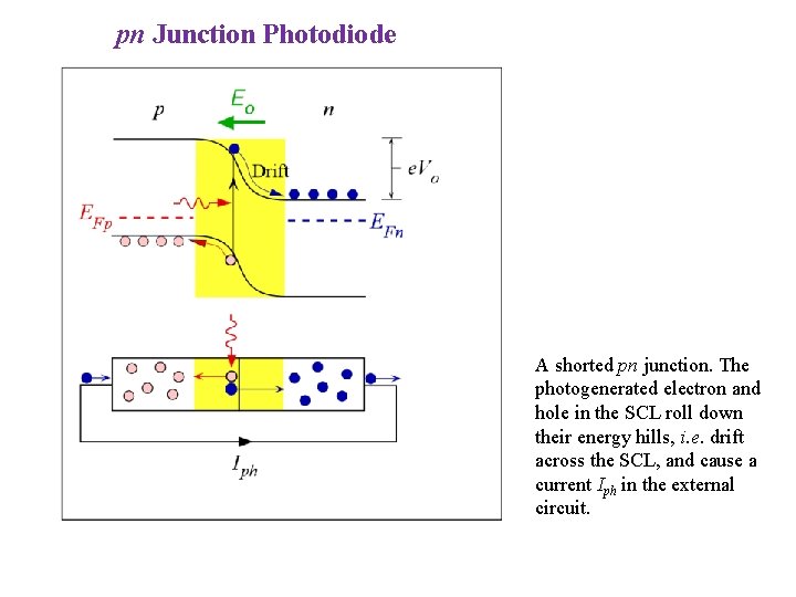 pn Junction Photodiode A shorted pn junction. The photogenerated electron and hole in the