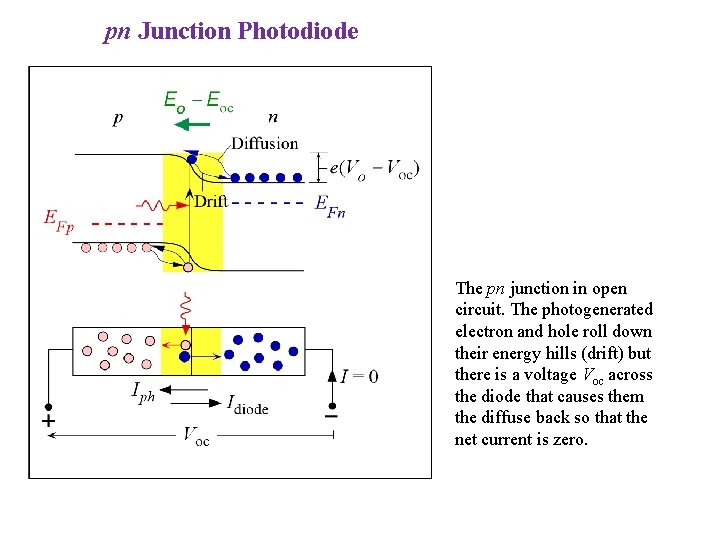 pn Junction Photodiode The pn junction in open circuit. The photogenerated electron and hole