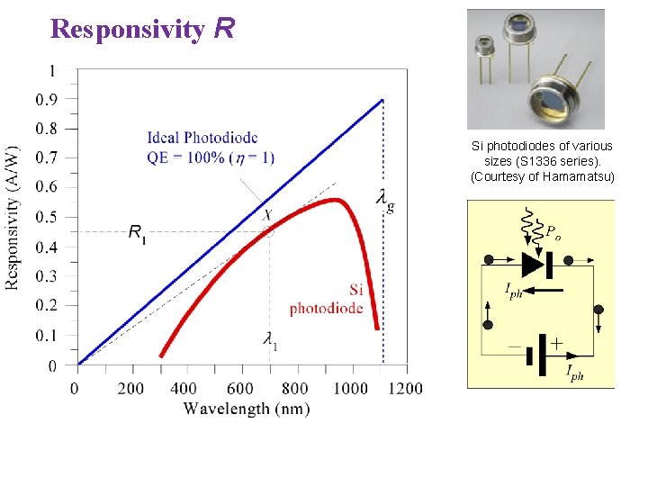 Responsivity R Si photodiodes of various sizes (S 1336 series). (Courtesy of Hamamatsu) 