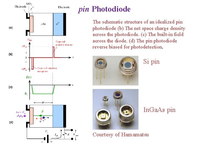 pin Photodiode The schematic structure of an idealized pin photodiode (b) The net space