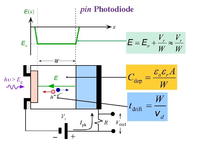 pin Photodiode 