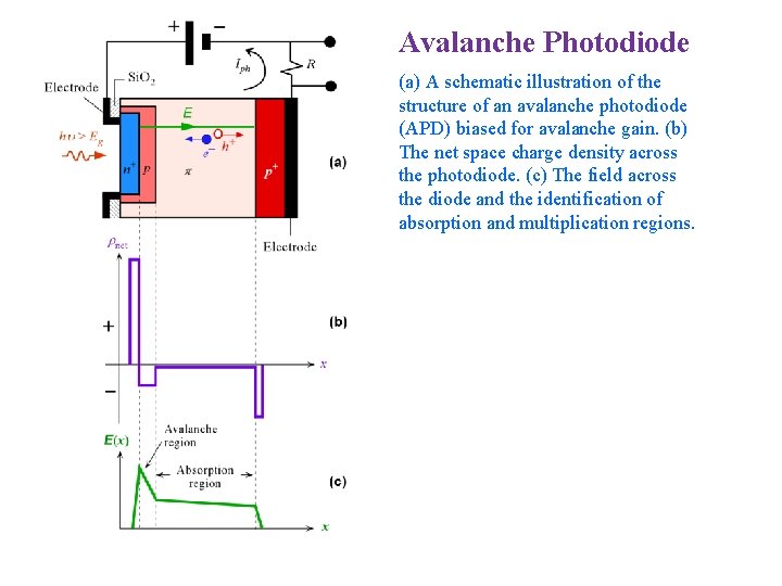 Avalanche Photodiode (a) A schematic illustration of the structure of an avalanche photodiode (APD)