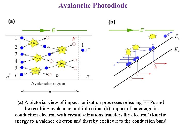 Avalanche Photodiode (a) A pictorial view of impact ionization processes releasing EHPs and the