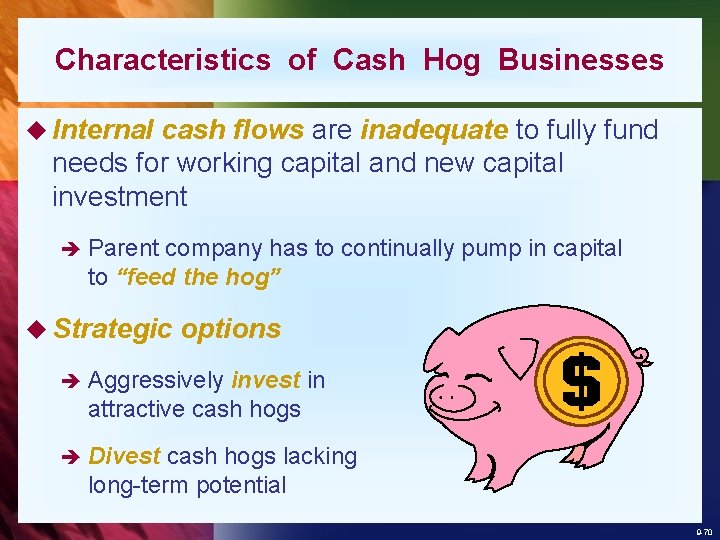 Characteristics of Cash Hog Businesses u Internal cash flows are inadequate to fully fund