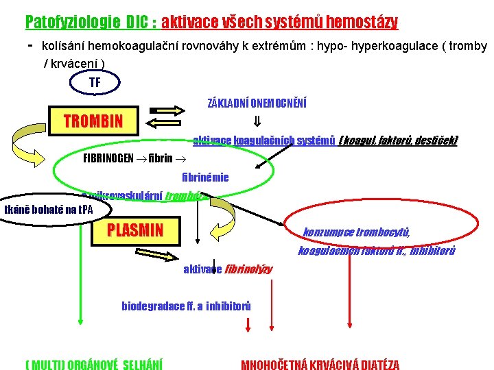Patofyziologie DIC : aktivace všech systémů hemostázy - kolísání hemokoagulační rovnováhy k extrémům :