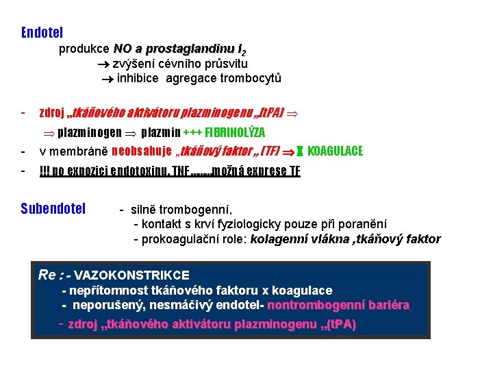 Endotel produkce NO a prostaglandinu I 2 zvýšení cévního průsvitu inhibice agregace trombocytů -