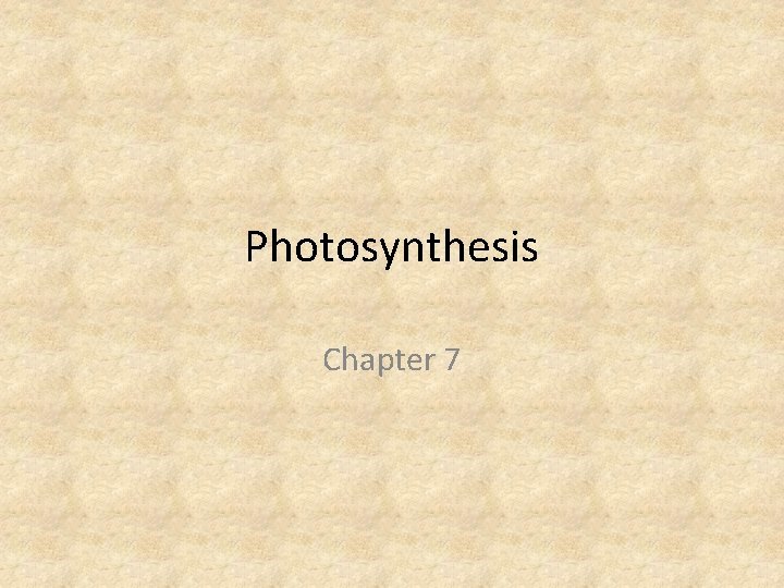 Photosynthesis Chapter 7 