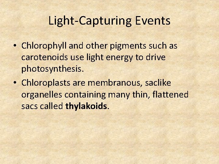Light-Capturing Events • Chlorophyll and other pigments such as carotenoids use light energy to