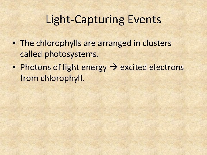 Light-Capturing Events • The chlorophylls are arranged in clusters called photosystems. • Photons of