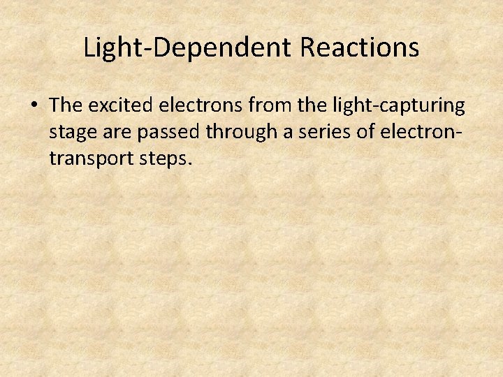 Light-Dependent Reactions • The excited electrons from the light-capturing stage are passed through a