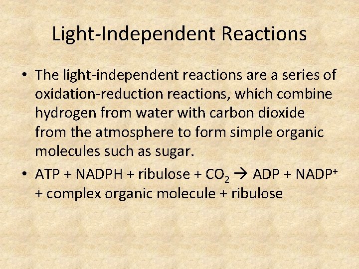 Light-Independent Reactions • The light-independent reactions are a series of oxidation-reduction reactions, which combine