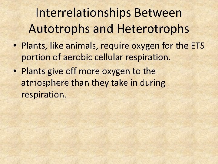 Interrelationships Between Autotrophs and Heterotrophs • Plants, like animals, require oxygen for the ETS